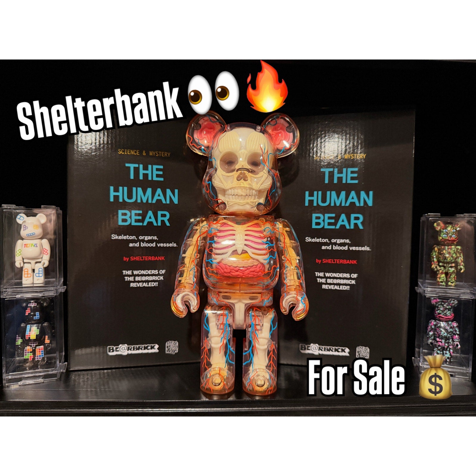 Bearbrick Shelterbank The Human Bear 400%
