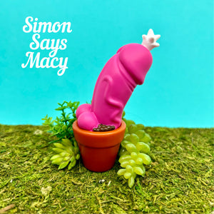 Cocktus - Suckulent Pink by Simon Says Macy