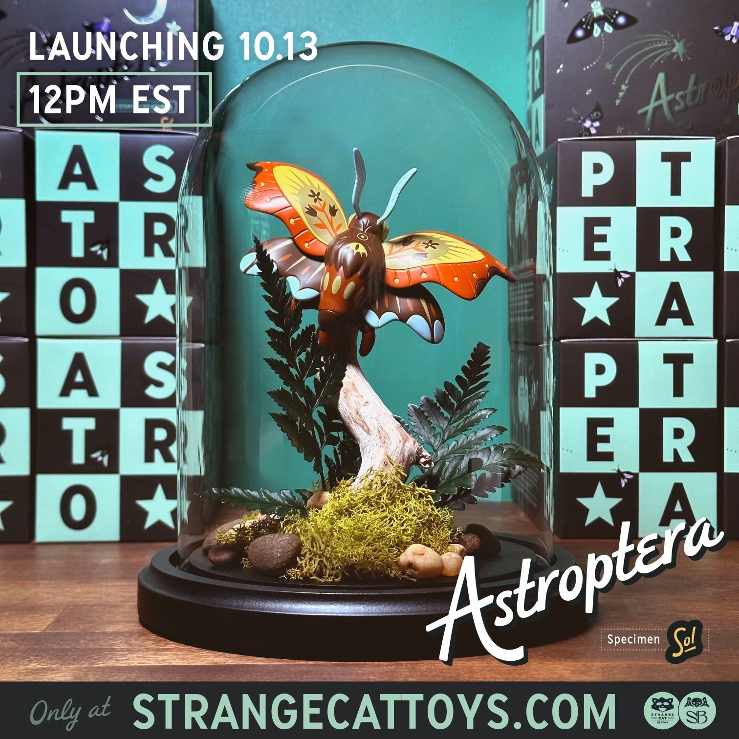 Astroptera - Sol by Stephanie Buscema