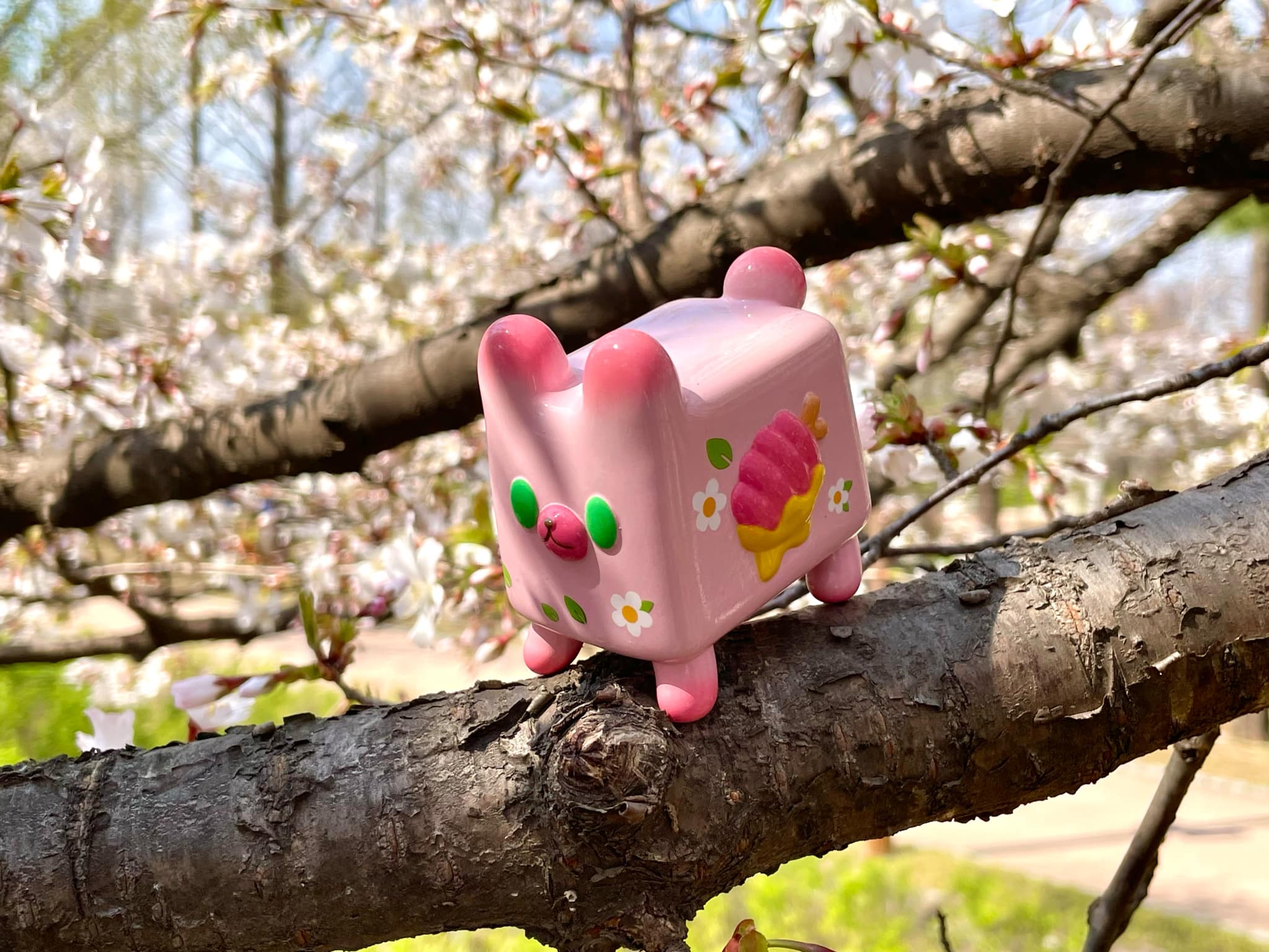 Box Bear - Sakura Spring Ver. by Rato Kim