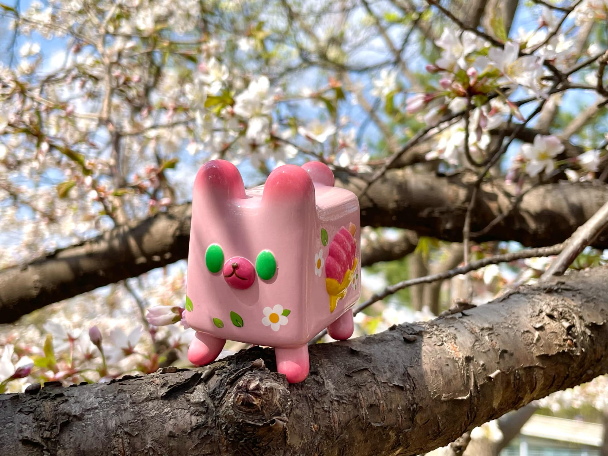 Box Bear - Sakura Spring Ver. by Rato Kim